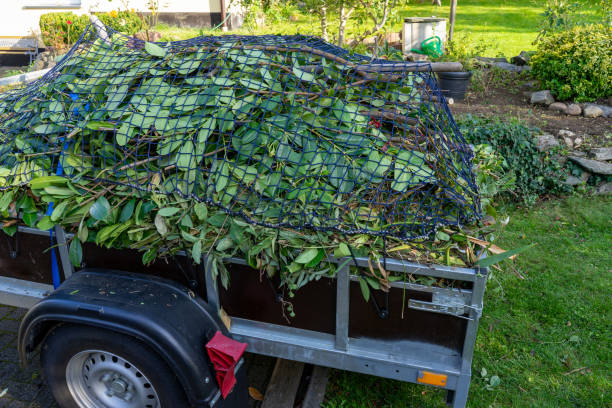 Best Same-Day Junk Removal Services  in Donalsonville, GA